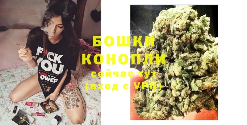 Канабис OG Kush  как найти закладки  Геленджик 